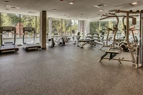 Sammamish apartment for rent - a gym with weights and other exercise equipment and windows