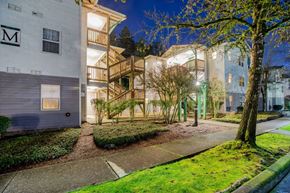 Olympia apartment for rent - A tree stands next to a building with a white exterior and a balcony.