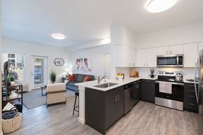 Olympia apartment for rent - a kitchen and living room with a sink and a counter