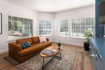 Burien apartment for rent - A living room with a brown couch and a rug.