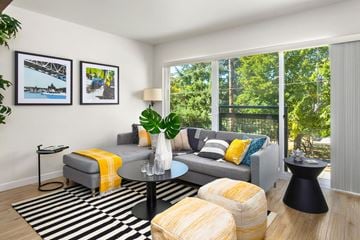 Seattle apartment for rent - a living room with a gray couch and yellow pillows and a large window