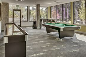 Sammamish apartment for rent - two pool tables in a room with large windows