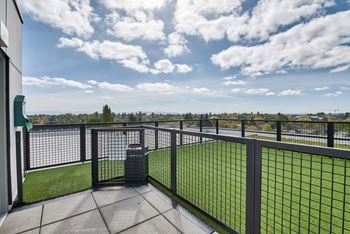 Rooftop off-leash dog park