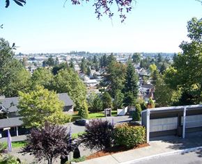 Tacoma apartment for rent - A view of a residential area with houses and trees.