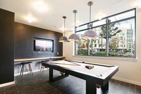 Seattle apartment for rent - a games room with a pool table and a television