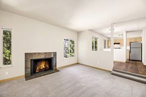 Seattle apartment for rent - A living room with a fireplace and a television.