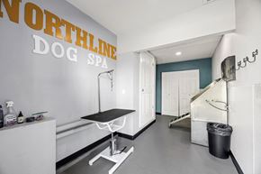 Seattle apartment for rent - A dog grooming spa with a table and a black trash can.