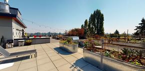 Seattle apartment for rent - a roof terrace with plants and a view of the city