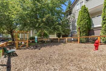 Fenced dog park