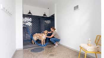 Pet wash