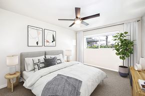 Kent apartment for rent - an image of a bedroom with a bed and a ceiling fan