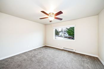 Ceiling fans