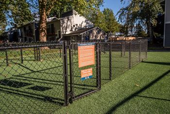Life-size foosball
