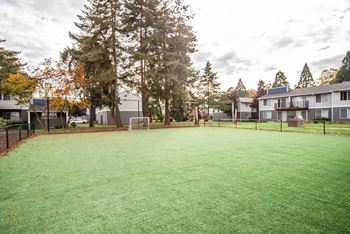 Turf soccer field