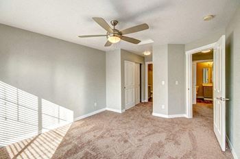 Ceiling fan