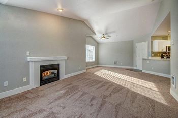 Gas fireplace