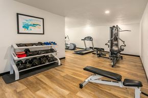Kenmore apartment for rent - a home gym with exercise equipment and a painting on the wall