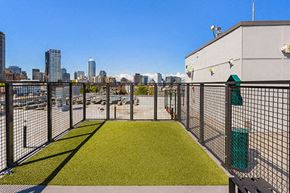 Seattle apartment for rent - The outdoor dog park on top of the building.