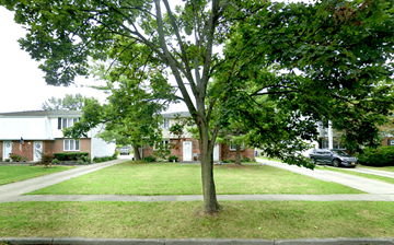 Amherst triplex for rent - A tree in a grassy area in front of a row of houses.