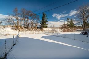 Amherst triplex for rent - A snowy landscape with a fence and trees.
