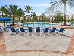 Coconut Creek apartment for rent - A pool surrounded by chairs and palm trees.