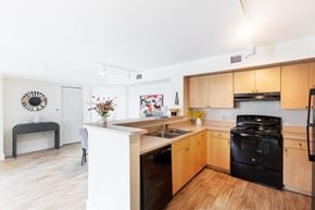 Coconut Creek apartment for rent - a kitchen with wooden cabinets and black appliances and a counter top