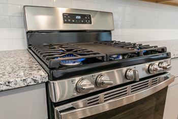 Stainless steel ge gas range