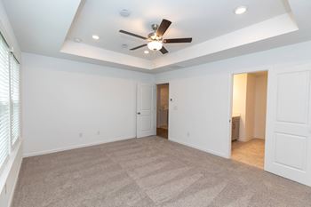 Luxury carpet in bedrooms and closets