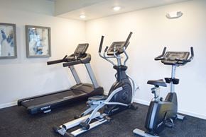 Flemington apartment for rent - two treadmills and ellipticals in the gym at the preserve at polk