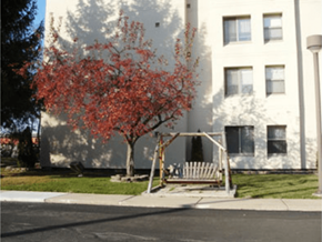 Ypsilanti apartment for rent - a white building with a swing set in front of a tree