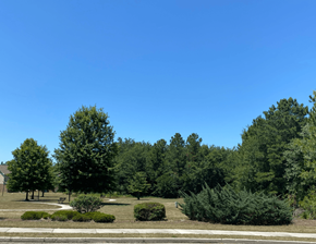Cordele apartment for rent - a park with trees and shrubs and a road