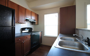 Holly Springs apartment for rent - a kitchen with a sink a stove and a refrigerator