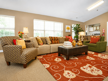 Richmond apartment for rent - A living room with a patterned rug and a brown sofa.