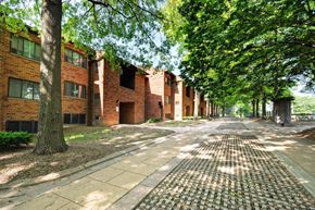 Baltimore apartment for rent - A brick building with a tree in front of it.