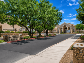 El Paso townhouse for rent - A tree-lined street with a building in the background.