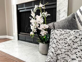 Wood burning fireplaces in select homes