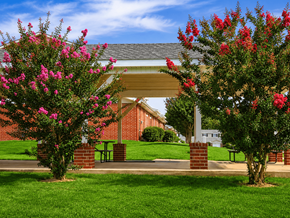 Mt. Vernon apartment for rent - A building with a covered walkway is flanked by two trees with pink flowers.