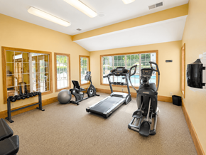 Chesapeake apartment for rent - A spacious home gym with a variety of exercise equipment.