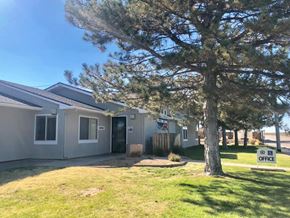Lamar apartment for rent - a gray house with a large tree in front of it