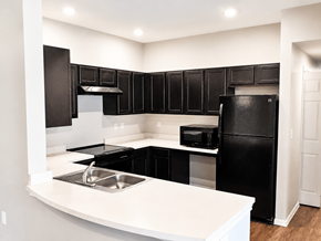 Bastrop townhouse for rent - A black and white kitchen with a sink and a refrigerator.