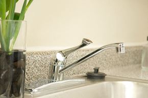 Baltimore apartment for rent - A close up of a modern chrome bathroom sink faucet with a glass vase of green plants on the counter.