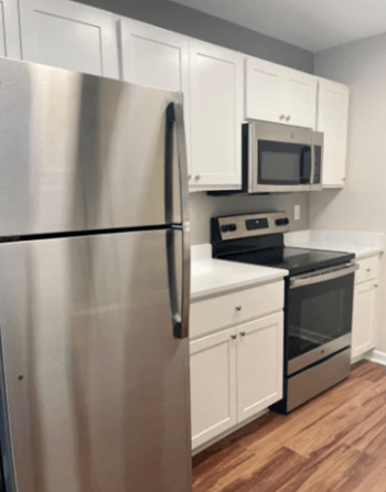 Stainless steel appliances*