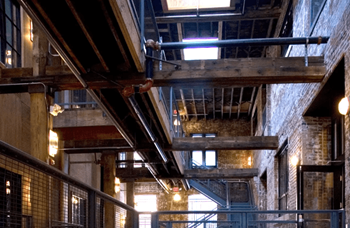 Skylights*