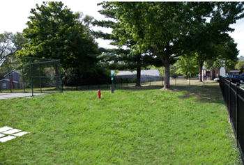 Pet park