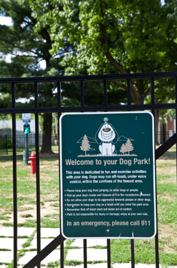 Dog park