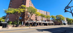 Rockford apartment for rent - a city street in front of a tall brick building with trees