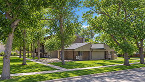 Denver apartment for rent - A house surrounded by green trees on a sunny day.