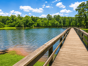 Thomasville apartment for rent - A wooden walkway leads to a serene lake surrounded by lush green trees.