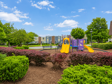 Capitol Heights townhouse for rent - A playground with a purple slide and a yellow slide.
