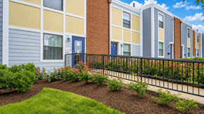 Capitol Heights townhouse for rent - A row of townhouses with blue doors and windows.